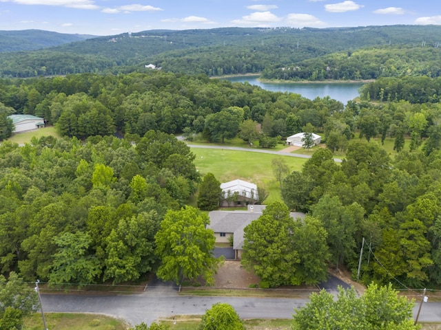 bird's eye view featuring a water and mountain view