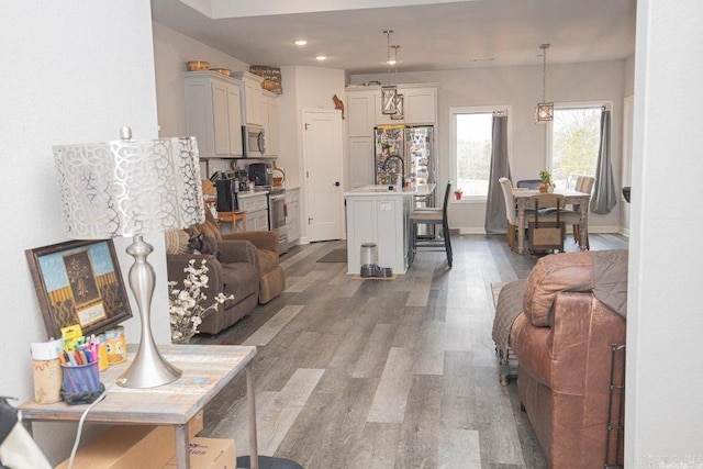 living room featuring dark wood-type flooring