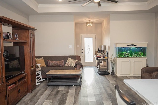 living room featuring a tray ceiling, ceiling fan, dark wood-type flooring, and ornamental molding