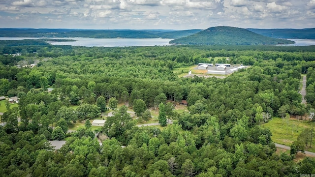 bird's eye view with a water and mountain view