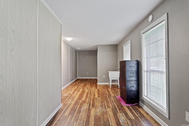 corridor featuring hardwood / wood-style floors and a wealth of natural light