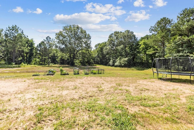 view of yard featuring a rural view and a trampoline