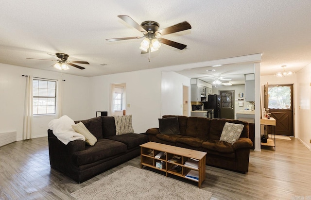 living room featuring light hardwood / wood-style floors, a wealth of natural light, and a notable chandelier