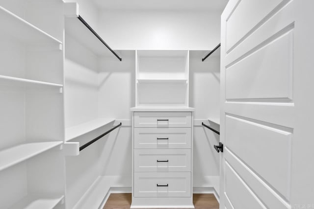 spacious closet featuring dark wood-type flooring