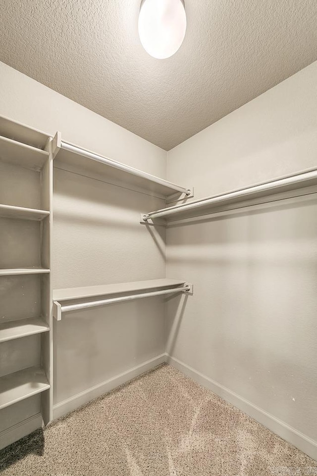 spacious closet featuring carpet flooring