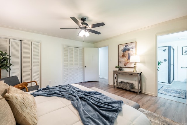 bedroom with two closets, light hardwood / wood-style flooring, ceiling fan, and crown molding