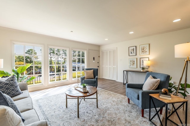 living room with hardwood / wood-style floors and ornamental molding