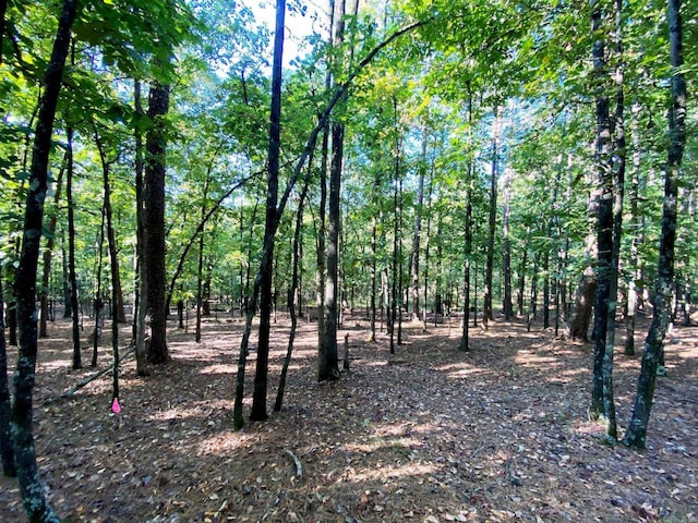 Listing photo 3 for 000 Foxridge Rd, Little Rock AR 72223