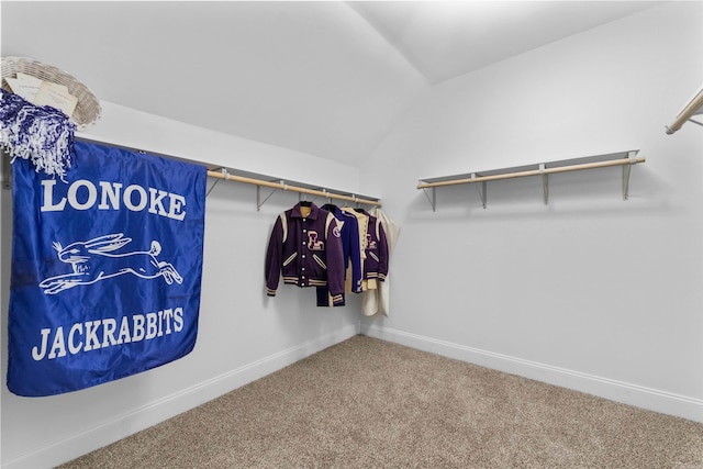 spacious closet featuring lofted ceiling and carpet floors