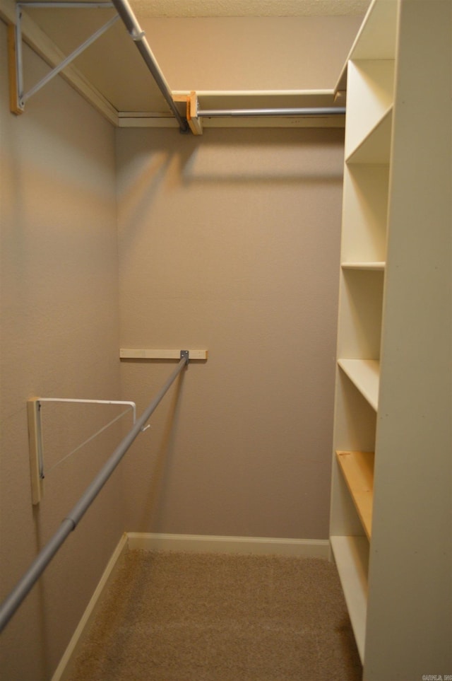 walk in closet featuring carpet floors