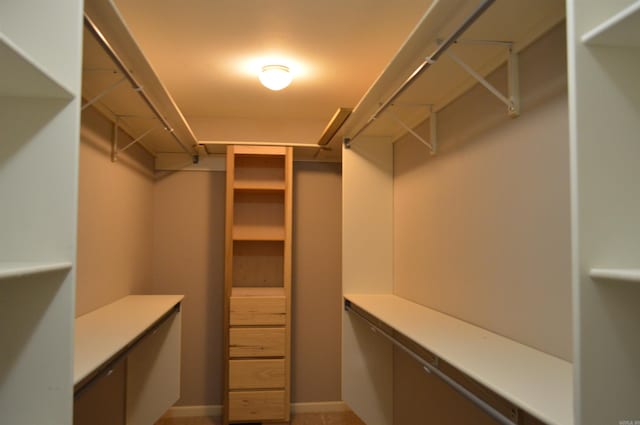 view of walk in closet