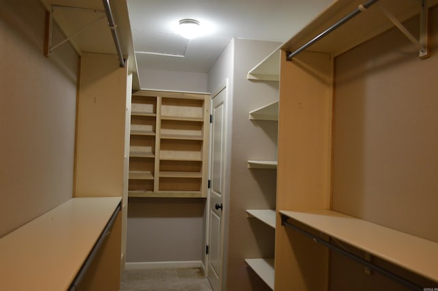 spacious closet featuring light colored carpet