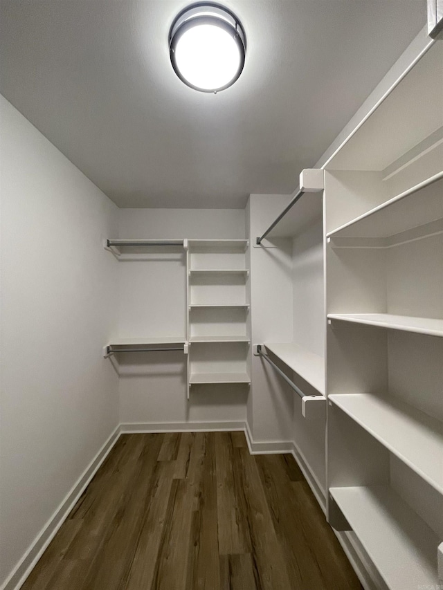 spacious closet featuring dark hardwood / wood-style flooring