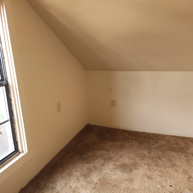 additional living space with carpet floors and vaulted ceiling