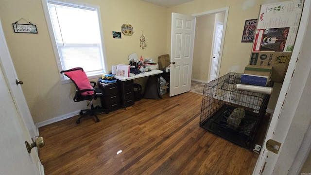 office space featuring dark hardwood / wood-style floors