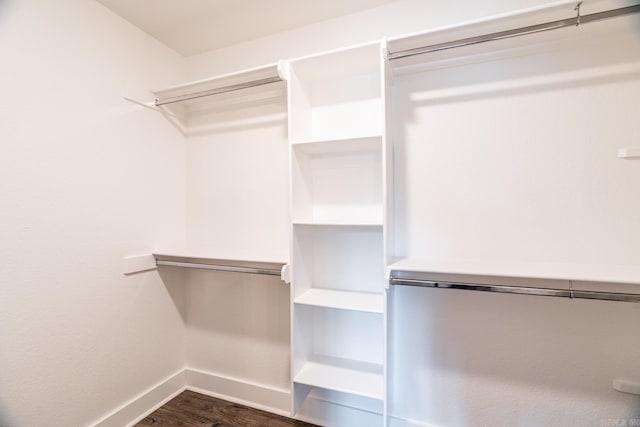 walk in closet with dark wood-type flooring