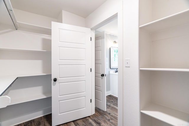 walk in closet featuring dark wood-type flooring