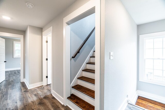 staircase with hardwood / wood-style floors