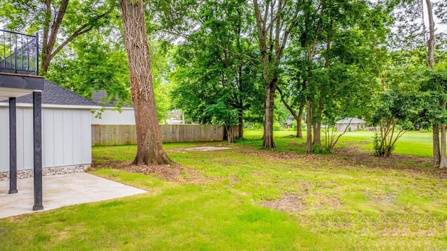 view of yard featuring a patio area