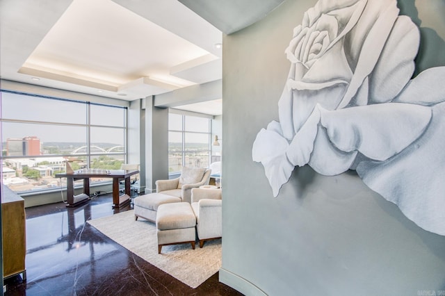 bedroom featuring a tray ceiling