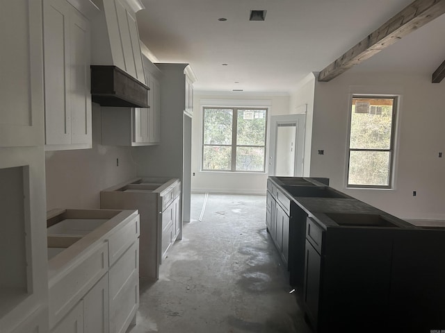 kitchen featuring premium range hood and a healthy amount of sunlight