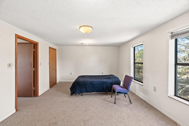 bedroom with multiple windows, light colored carpet, and a textured ceiling