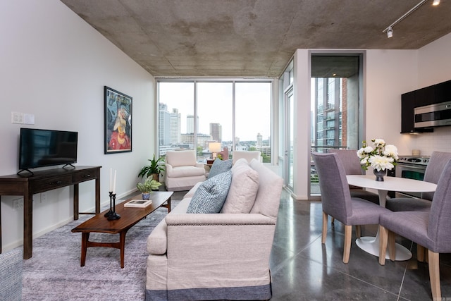 living room featuring expansive windows and a healthy amount of sunlight