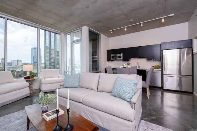 living room with plenty of natural light, a wall of windows, and sink