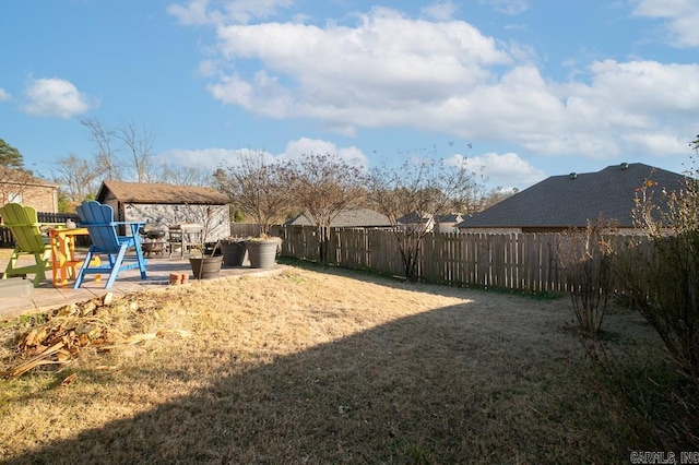 view of yard featuring a patio area