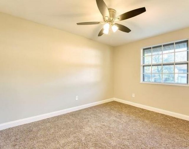 spare room with ceiling fan and carpet floors