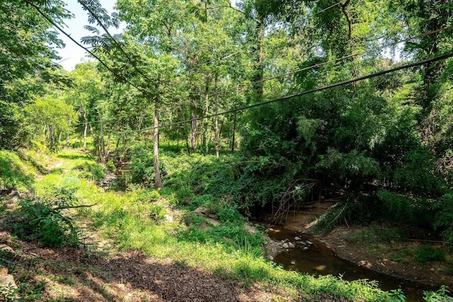 view of local wilderness