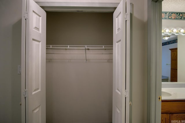 view of closet