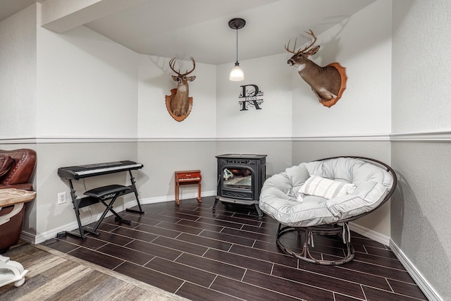 living area with a wood stove