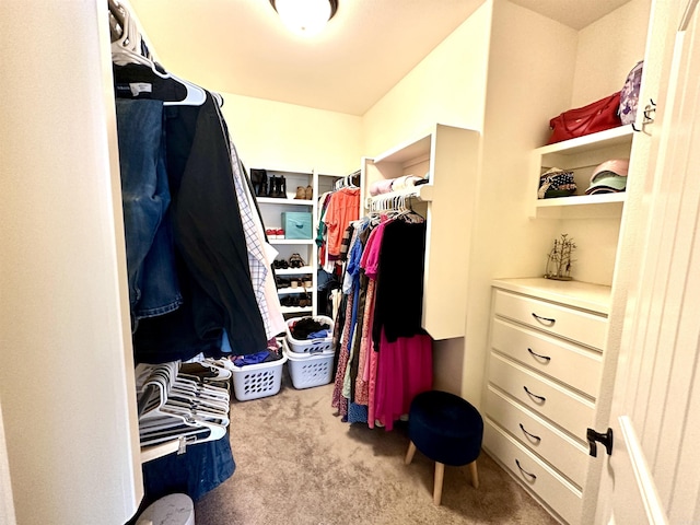 spacious closet featuring light colored carpet