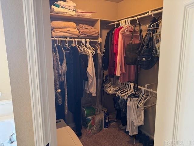 spacious closet featuring carpet floors