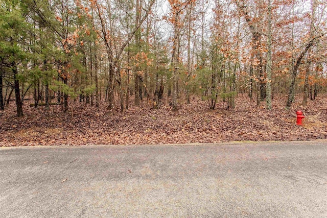 TBD San Ildefonso Cir, Cherokee Village AR, 72529 land for sale