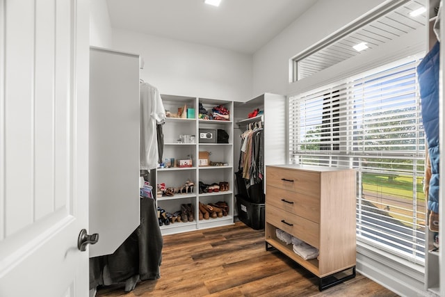 walk in closet featuring dark hardwood / wood-style floors