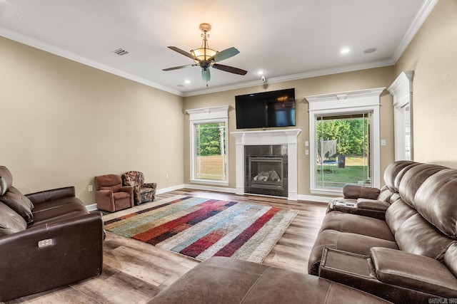 living room featuring a fireplace, light wood-type flooring, ceiling fan, and ornamental molding