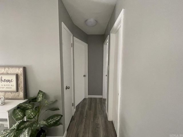 hallway with dark hardwood / wood-style flooring