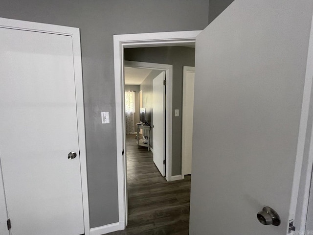 corridor featuring dark wood-type flooring