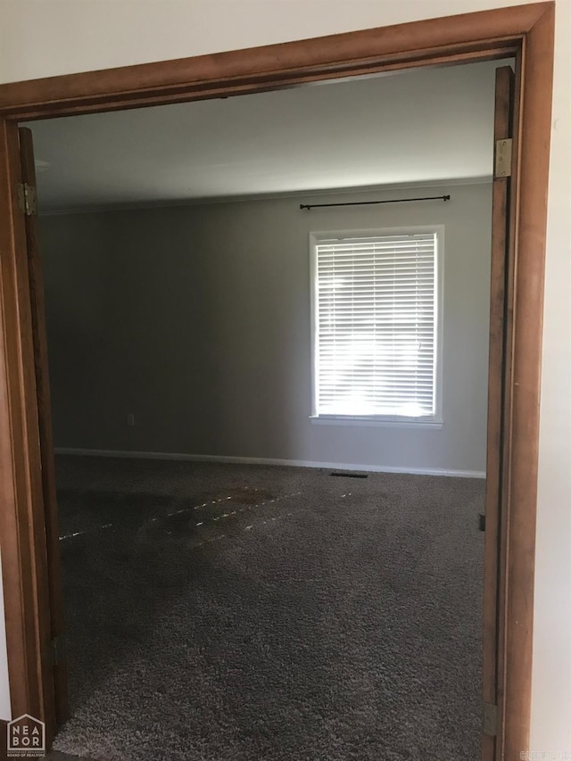 empty room featuring carpet floors