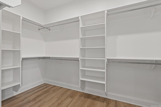 spacious closet featuring hardwood / wood-style flooring