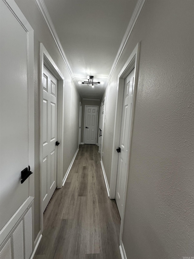 hallway with wood-type flooring and crown molding