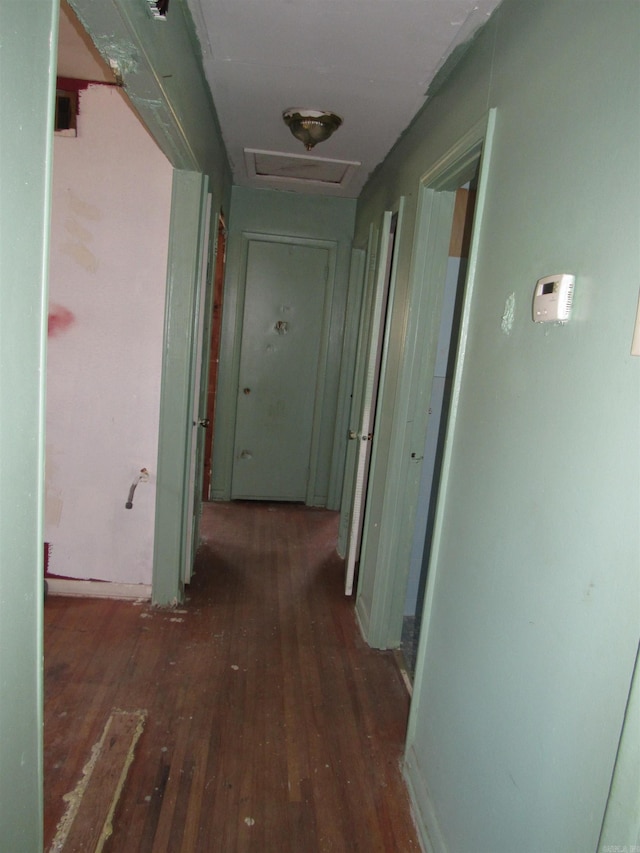 hallway featuring dark hardwood / wood-style flooring