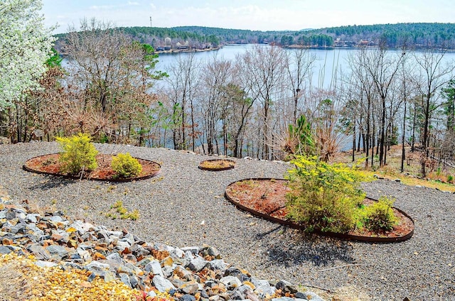 view of yard featuring a water view