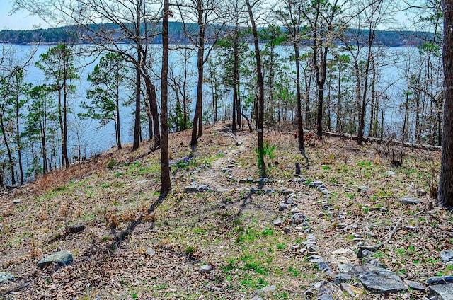 view of local wilderness with a water view