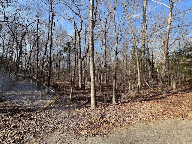 Listing photo 2 for LOT9 Kewe Dr, Cherokee Village AR 72549