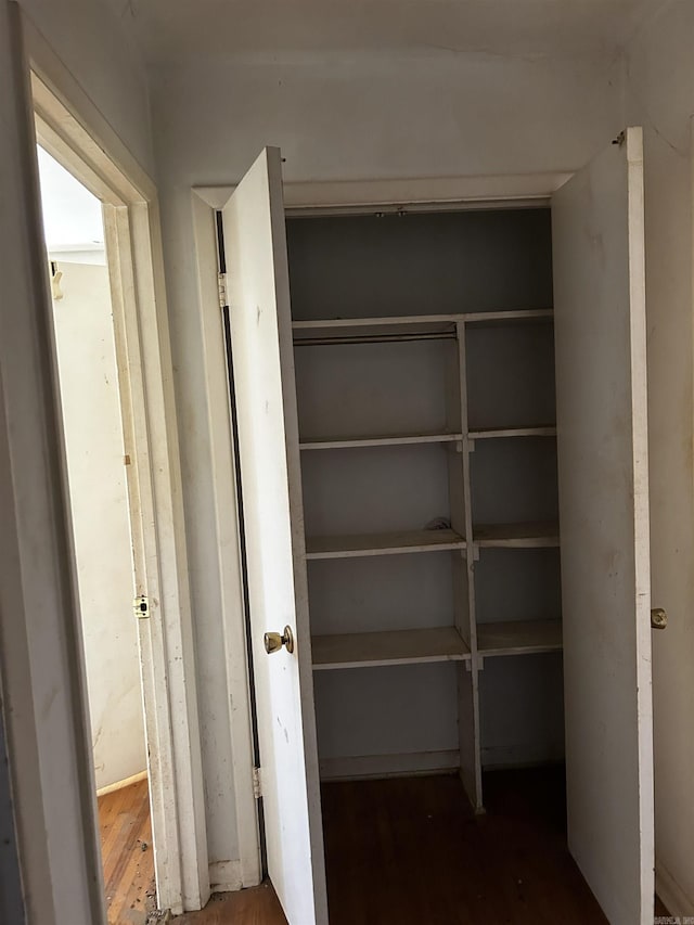 view of closet