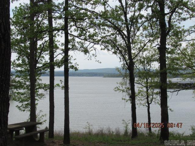 view of water feature