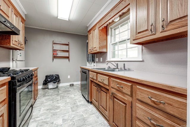 kitchen featuring sink, crown molding, stainless steel appliances, and range hood